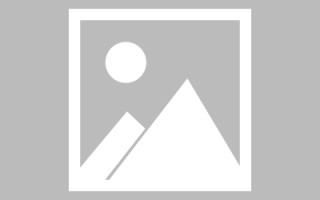 广东论文网站建设（网站建设的论文）
